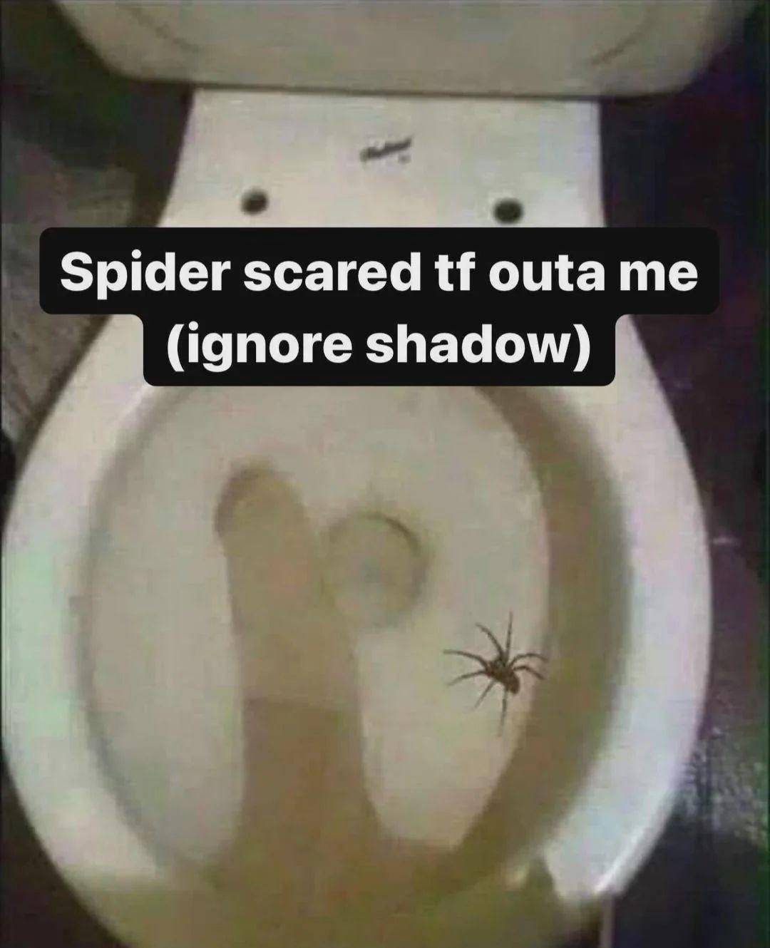 I wonder why