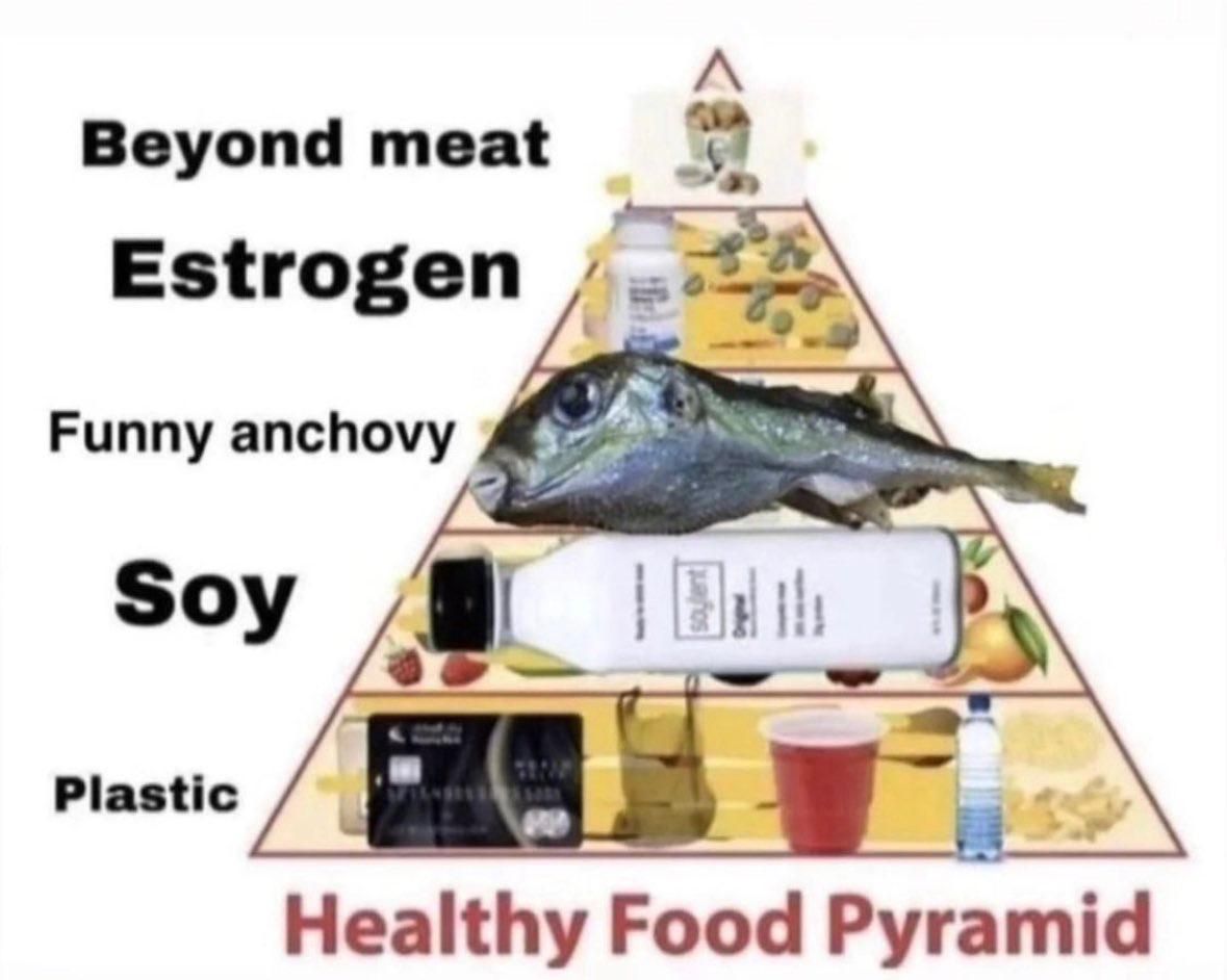 the anchovy is fed with car batteries