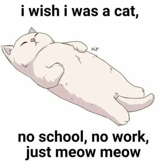 God I wish that were me