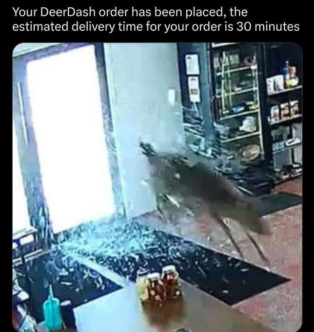 Deer lord