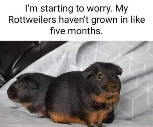 ***