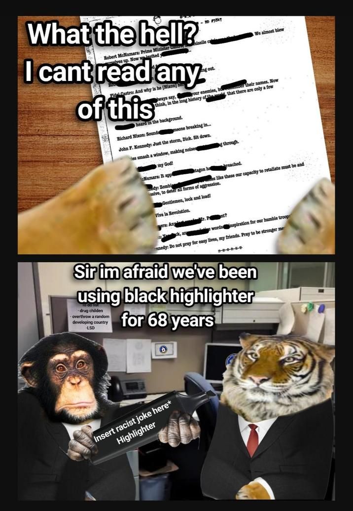 highlighter of melanin