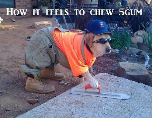 5gum