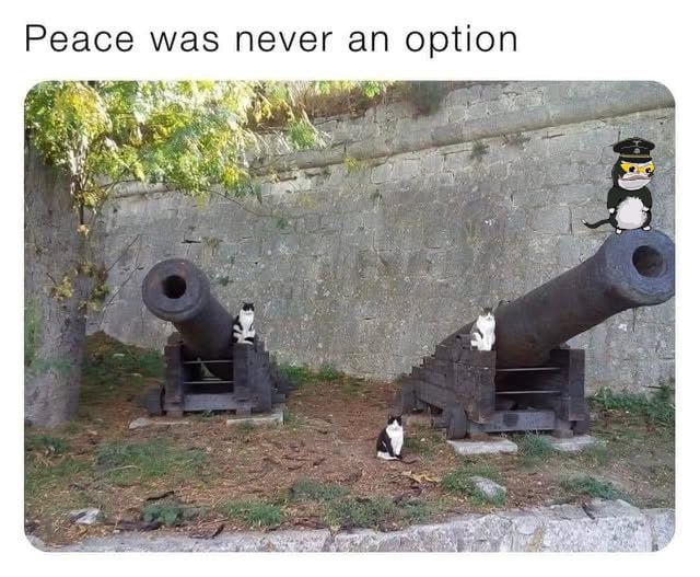 no dudders