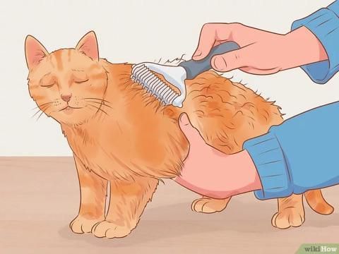 ​​​