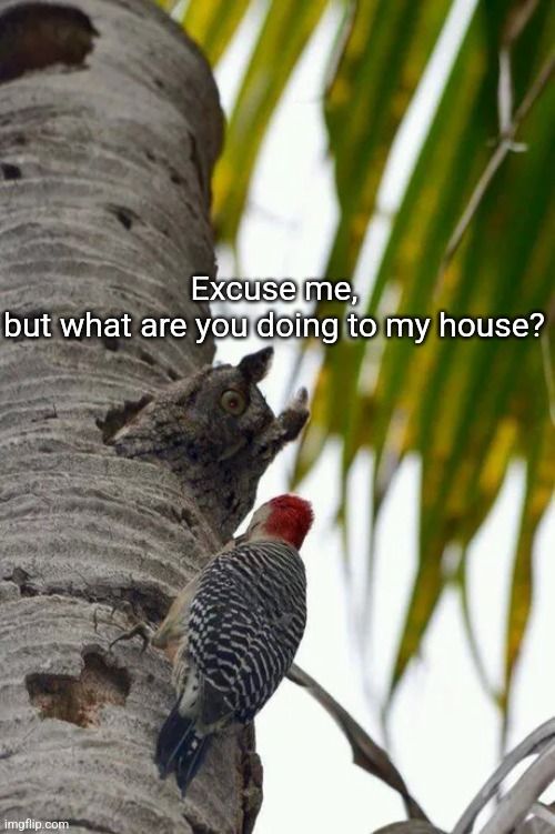 Knock it off