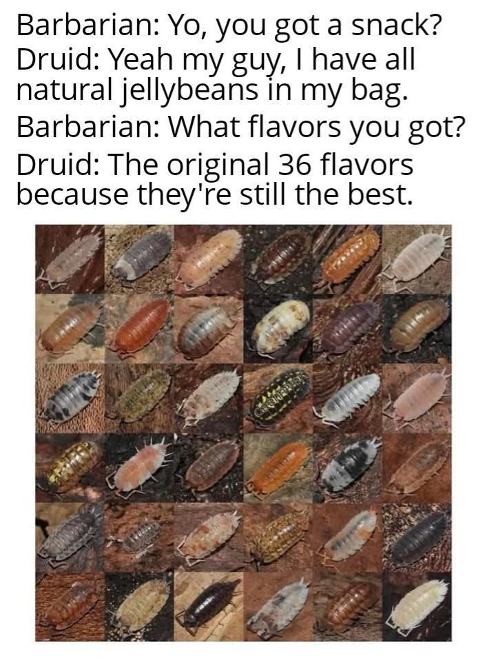​​​