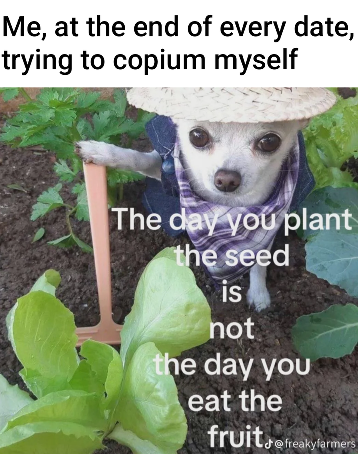 ​​​