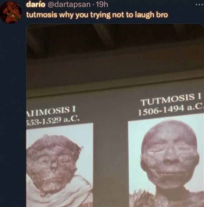 Ligmasis
