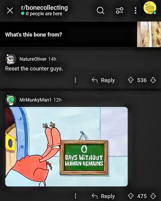 Bad to the bone