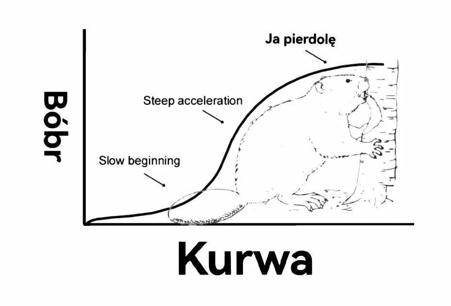 o kurwa