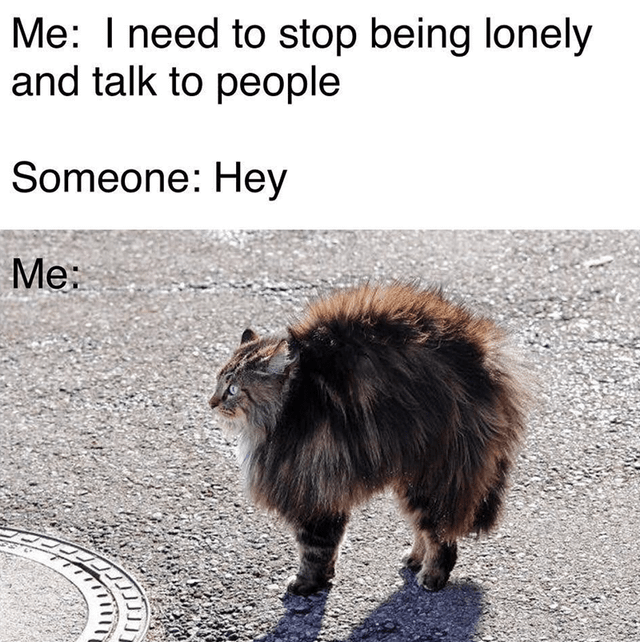​​​