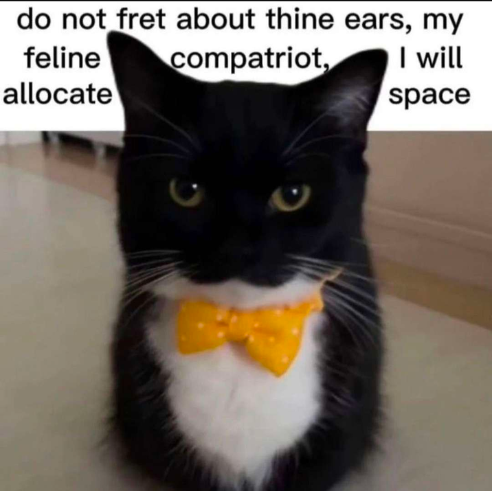 ​​​