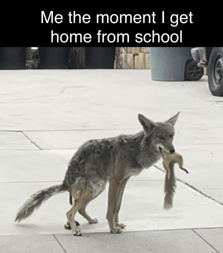 ​​​