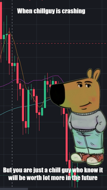 Chillguy the trader