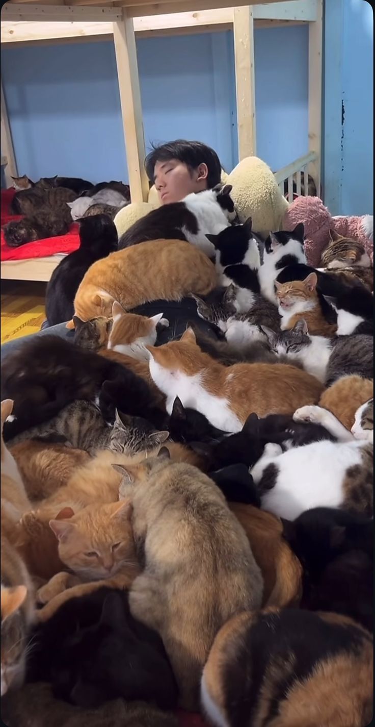 Drowning in pussy