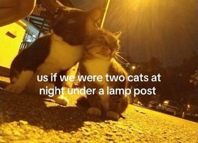Me and who??