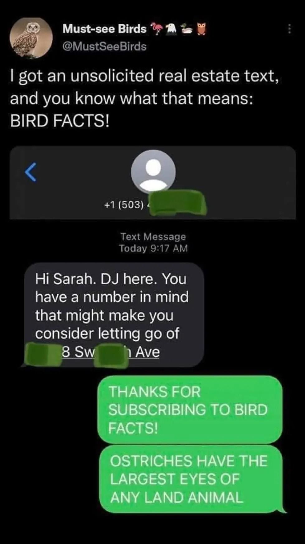 BIRD FACTS