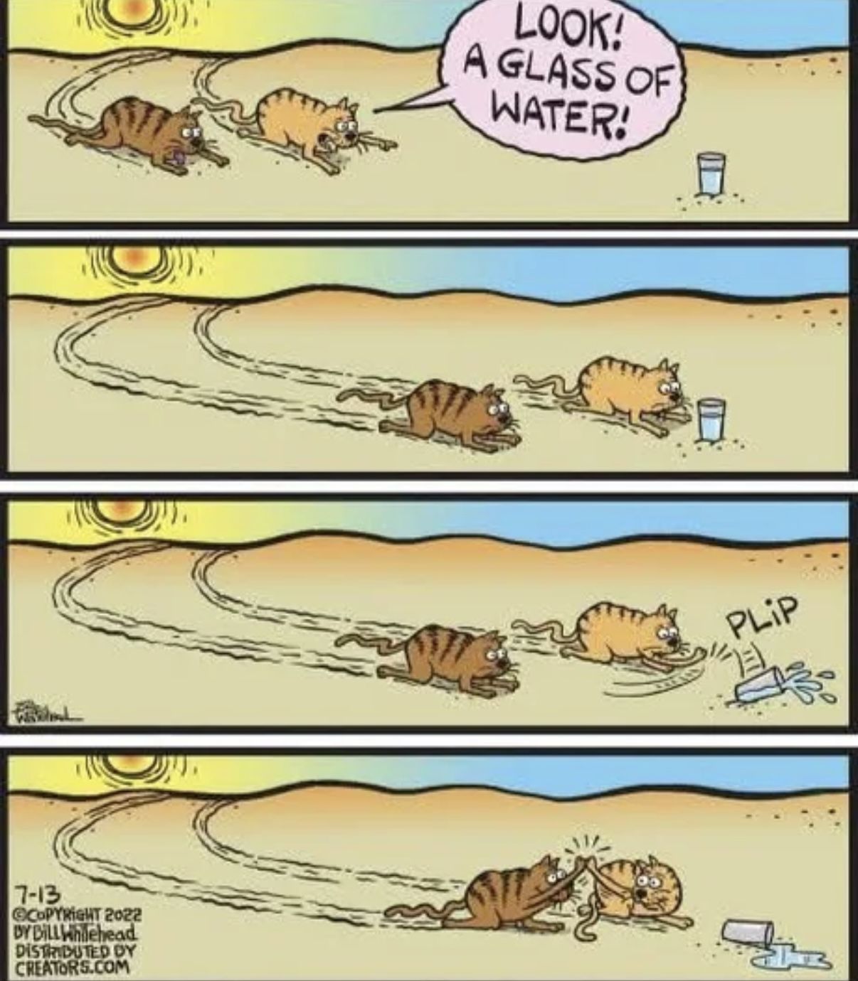 Peak cat lifestyle