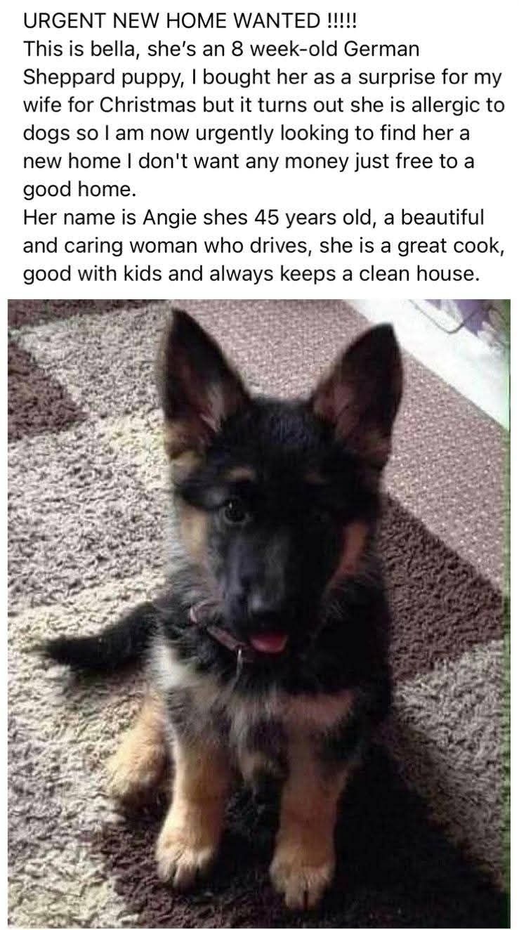 Good home wanted