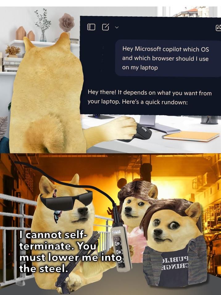 ​​​