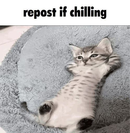 wazzup