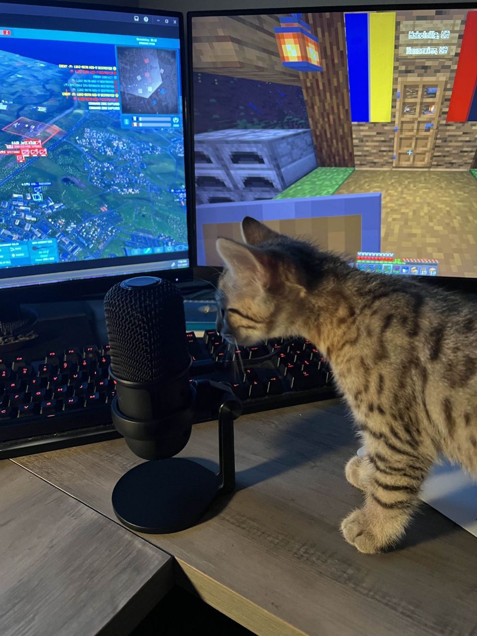 what is he going to say?