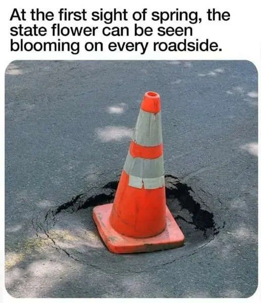 nature is beautiful