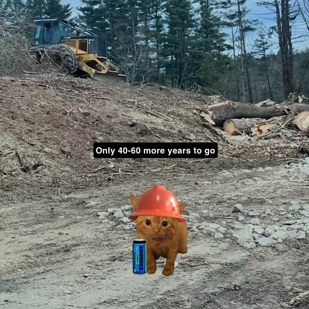 haha, yes