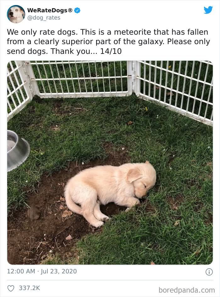 Backyard astroid