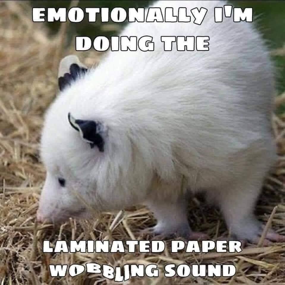 wubwubwubwub