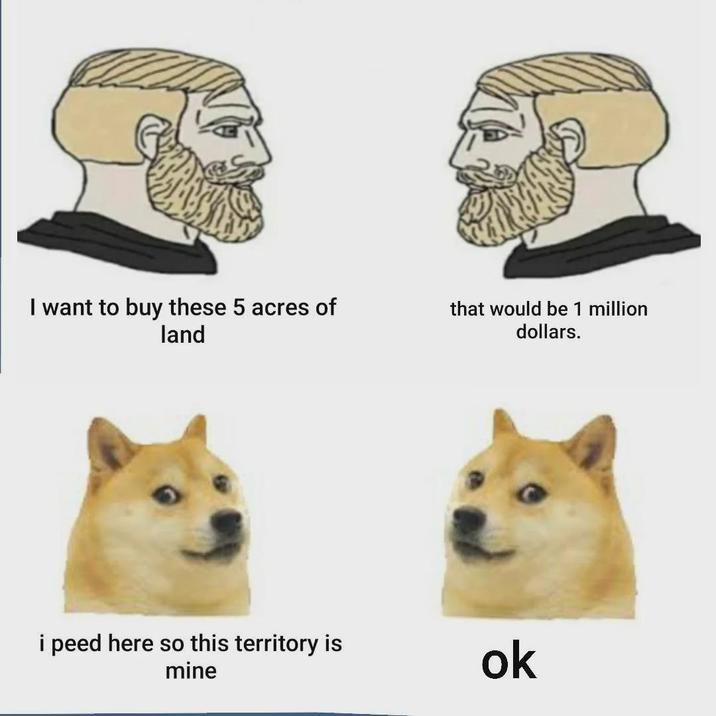 ​​​