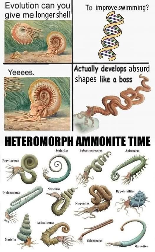 ​​​