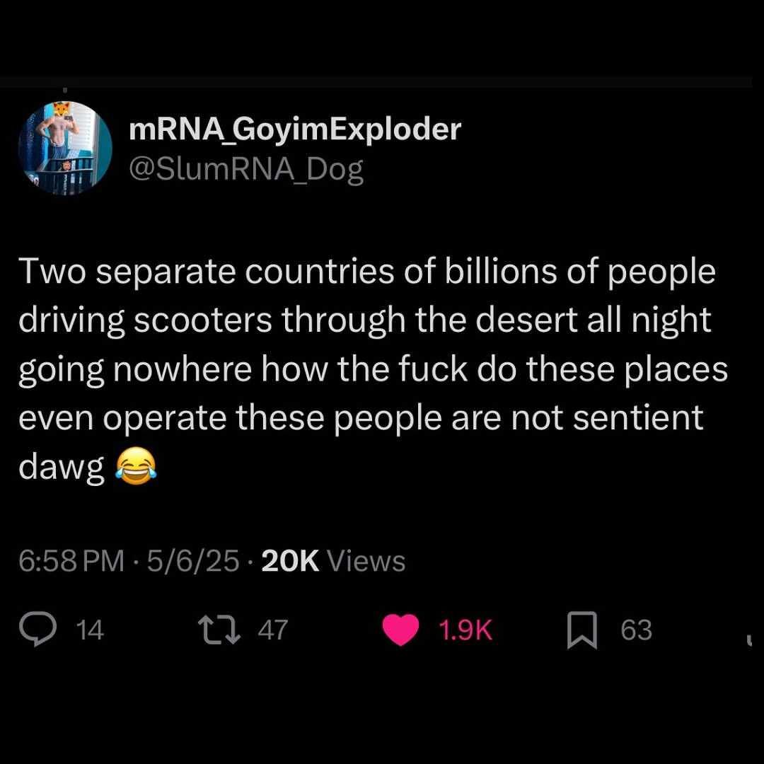 the sims ass war