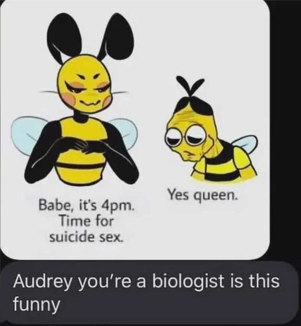 Ovulation