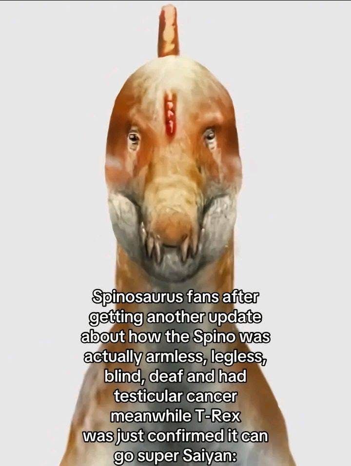Spinobros