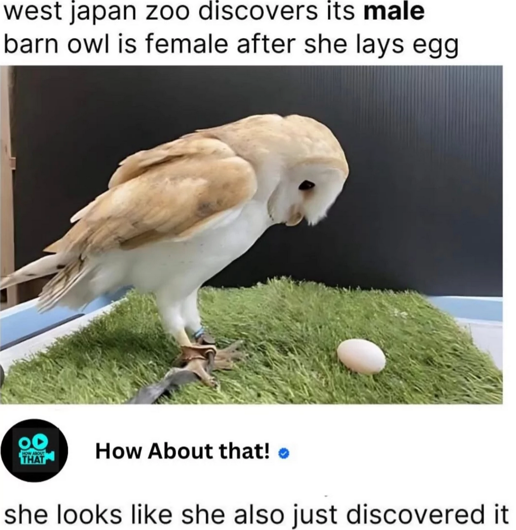 Hmmm, where did that come from?