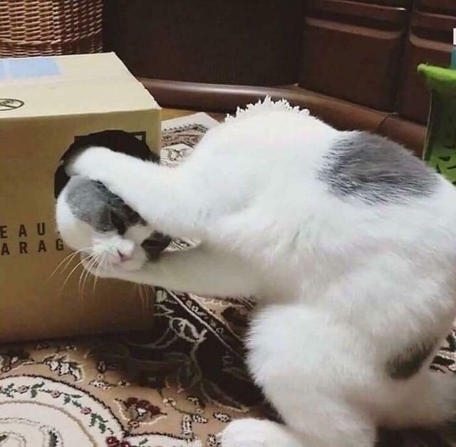 ​​​
