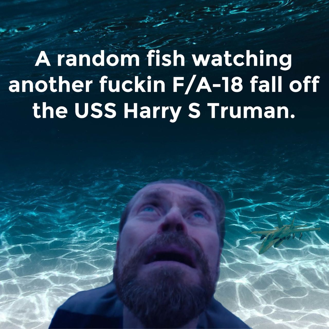 feed em