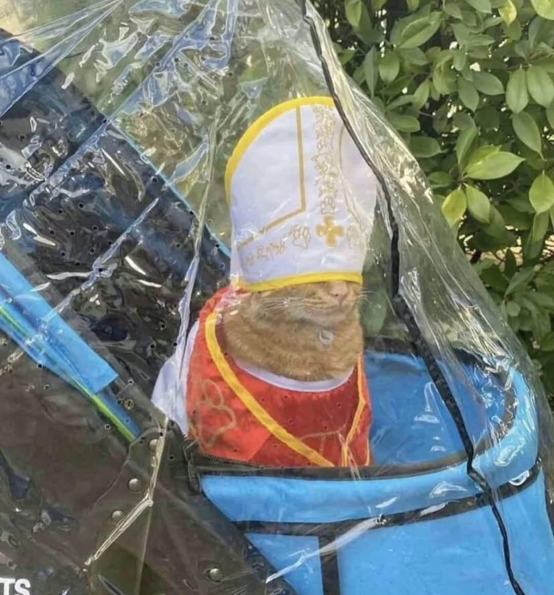 Habemus Papam