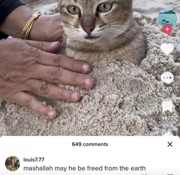 ***