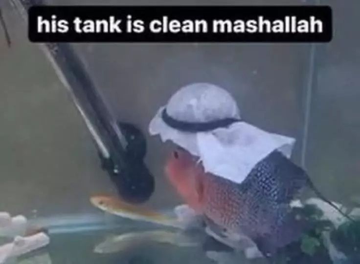 ***