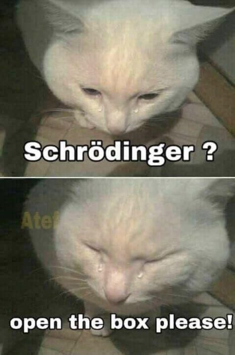 ​​​