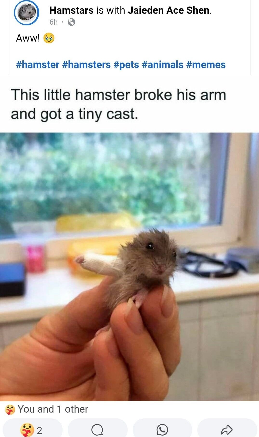 ​​​
