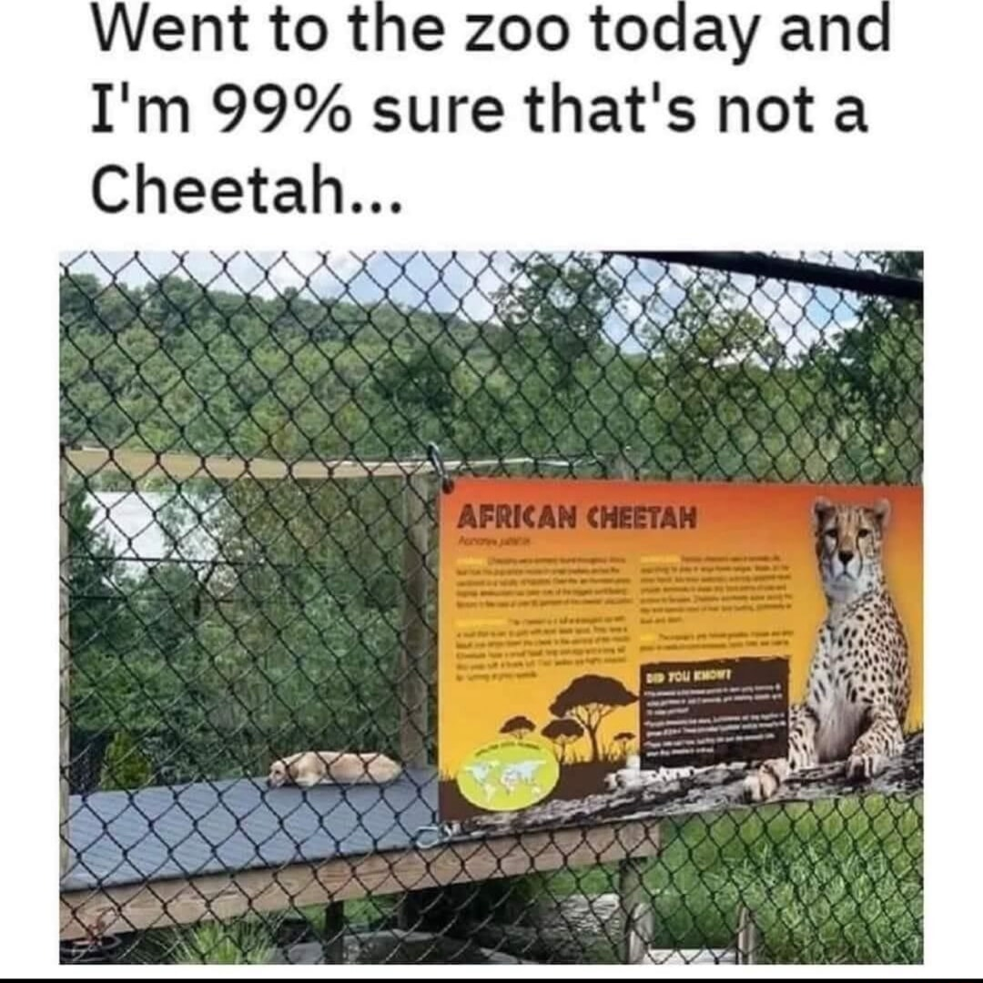 ​​​