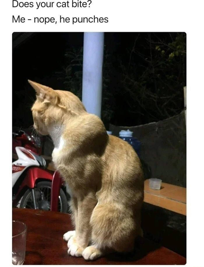 ​​​