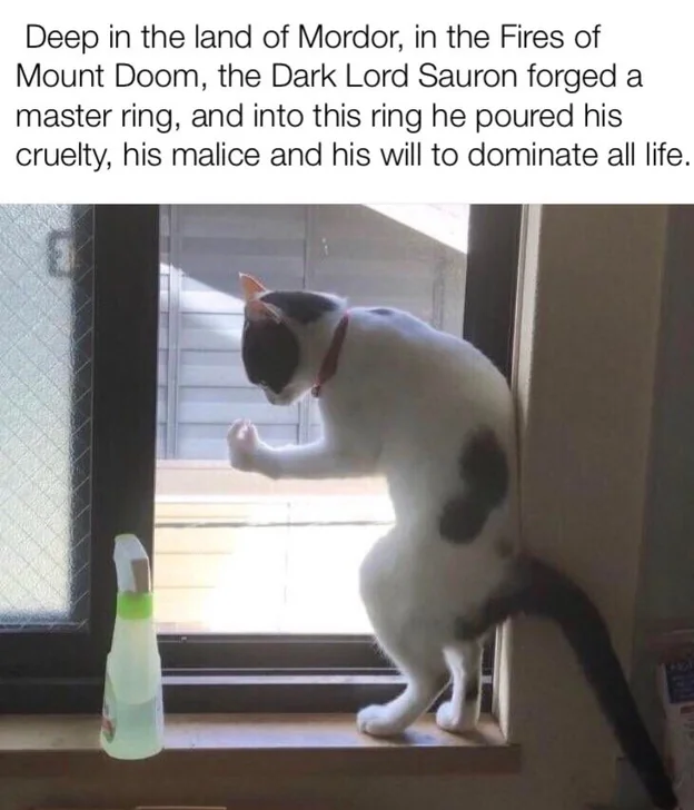 Barad-Dudders.