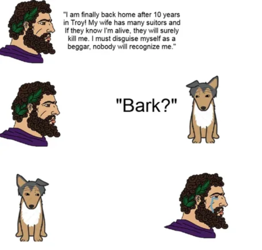 I have a dog