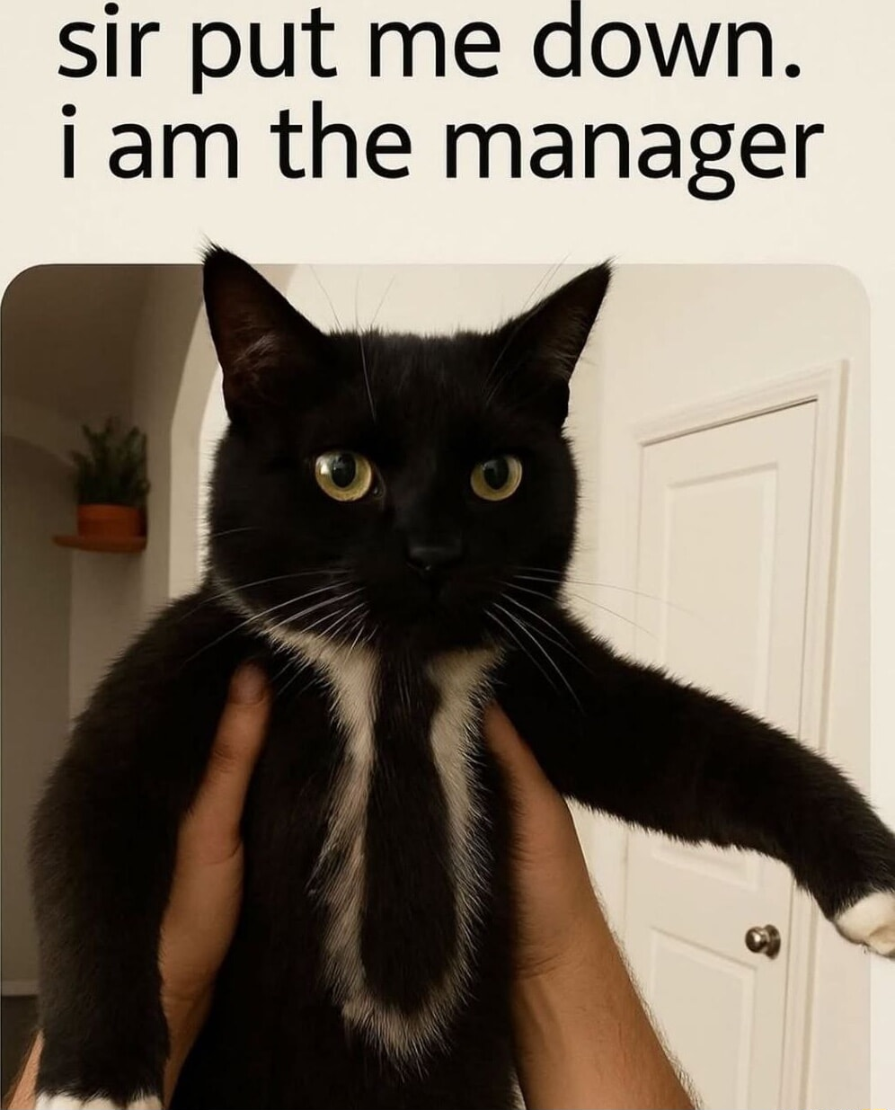 ​​​