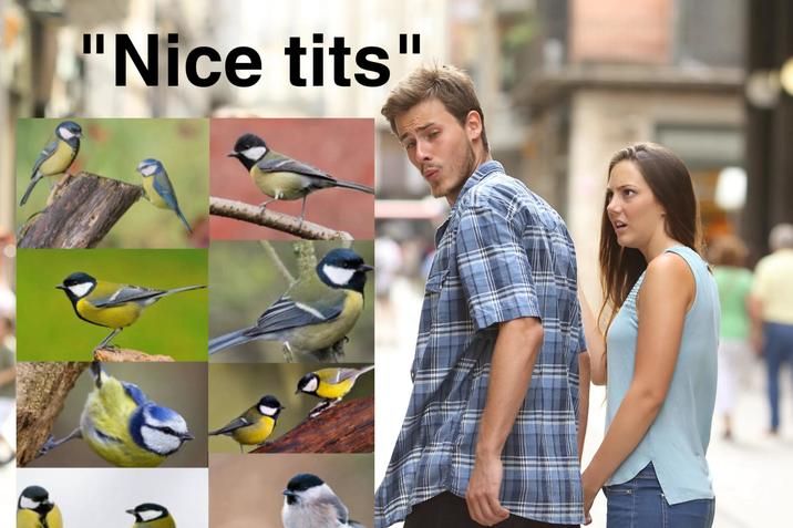 ​​​
